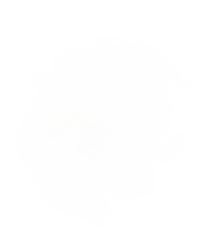 SMOKE COLLECTION
